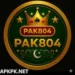 Pak804 Game
